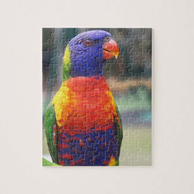 Puzzle Arcoiris Lorikeet (Trichoglossus haematodus 2 (Vertical)
