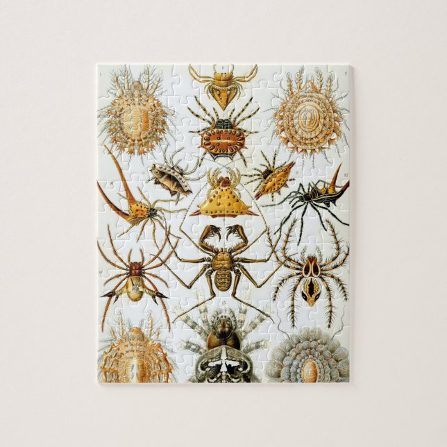 Puzzle Arcos de Ernst Haeckel, arañas vintage (Vertical)