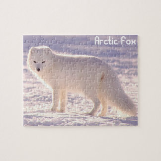 Puzzle Arctic fox