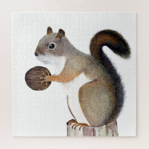 Puzzle Ardilla