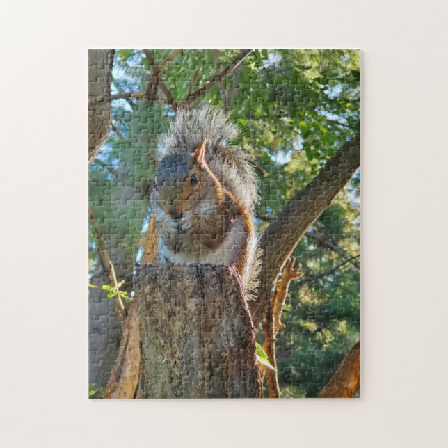 Puzzle Ardilla (Vertical)