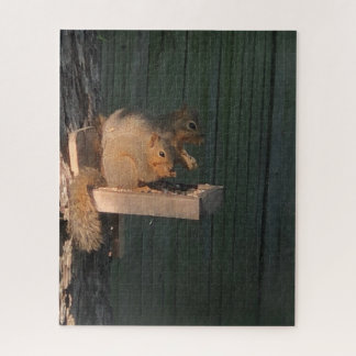 Puzzle Ardilla
