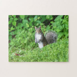 Puzzle Ardilla