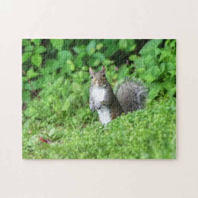 Puzzle Ardilla (Horizontal)