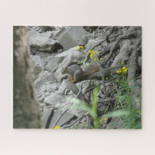 Puzzle Ardilla a lo largo de una ribera