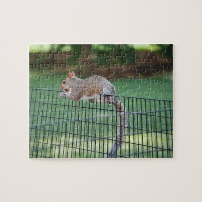 Puzzle Ardilla Comiendo, Rompecabezas, 8" x 10", 110 piez (Horizontal)