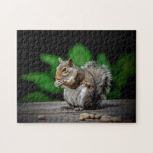 Puzzle Ardilla con cacahuetes