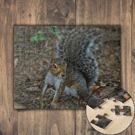 Puzzle Ardilla con ojos brillantes