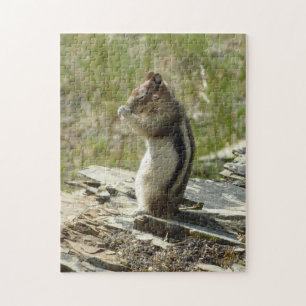 Puzzle Ardilla de Tierra de Manto Dorado en Glacier I
