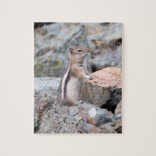 Puzzle Ardilla de Tierra de Manto Dorado en Glacier II