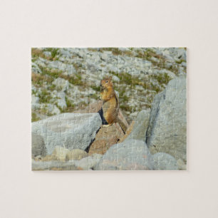 Puzzle Ardilla de Tierra de Manto Dorado en Mount Rainier
