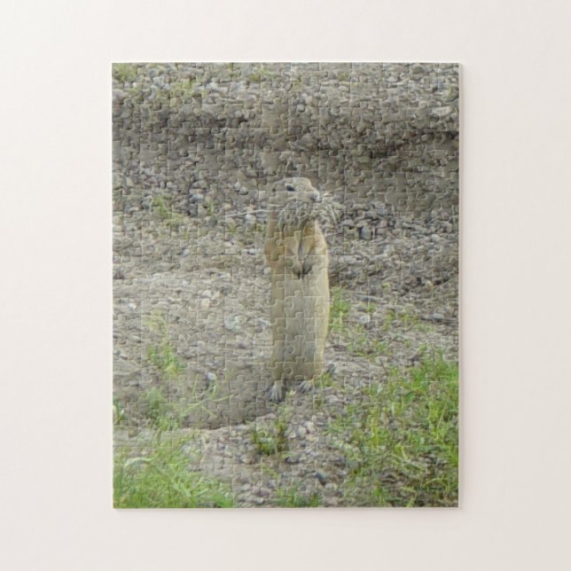 Puzzle Ardilla de tierra de Richardson Gopher (Vertical)