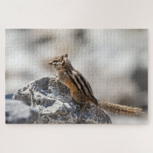 Puzzle Ardilla de tierra en las rocas – Instantánea de vi