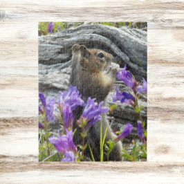Puzzle Ardilla de tierra y naturaleza de las flores silve