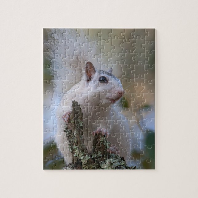 Puzzle Ardilla del astronauta (Vertical)
