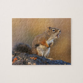 Puzzle Ardilla del canto