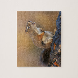 Puzzle Ardilla del canto