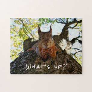 Puzzle Ardilla Divertida Animales Adorables Hola Qué Pasa