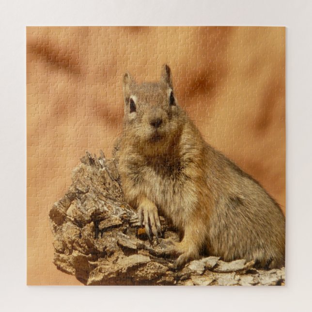 Puzzle Ardilla dorada (Vertical)