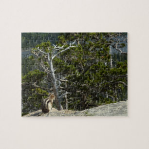 Puzzle Ardilla en mirador del lago Two Medicine