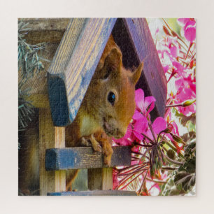 Puzzle Ardilla En Una Casa Para Pájaros