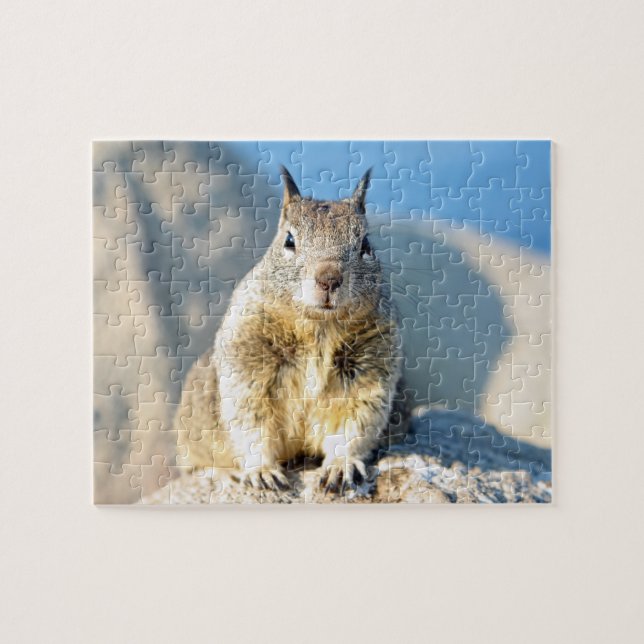 Puzzle Ardilla gris, Bahía de Monterey, California (Horizontal)