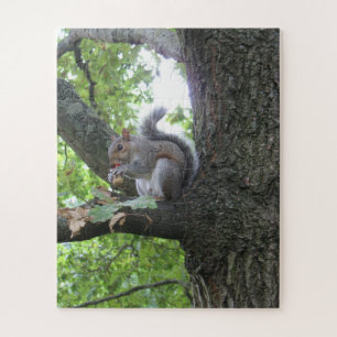 Puzzle Ardilla gris comiendo una bellota en un roble