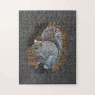 Puzzle ardilla gris oriental - Sciurus carolinensis