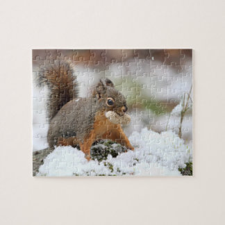 Puzzle Ardilla linda en nieve con el cacahuete