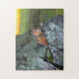 Puzzle Ardilla Listada Linda, Parque Nacional Shenandoah