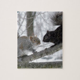 Puzzle Ardilla negra y gris