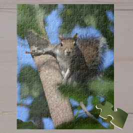 Puzzle Ardilla vigilada y ligera en una fotografía en un 