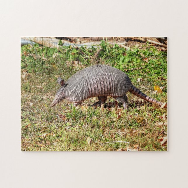 Puzzle Armadillo (Horizontal)