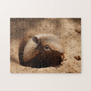 Puzzle Armadillo In Hole Dice Hola