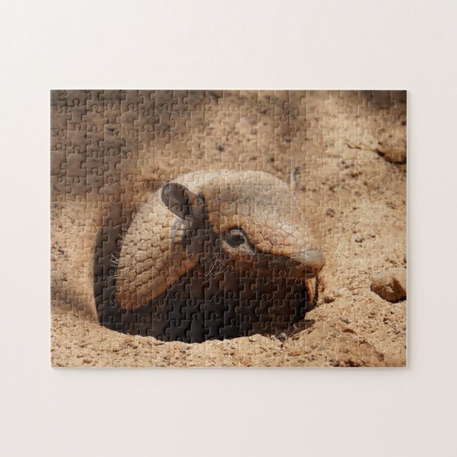 Puzzle Armadillo In Hole Dice Hola (Horizontal)