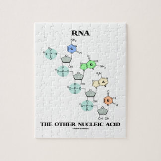 Puzzle ARN el otro ácido nucléico (estructura química)