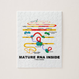 Puzzle ARN maduro dentro del humor de la biología