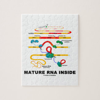 Puzzle ARN maduro dentro del humor de la biología