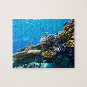 Puzzle Arrecife de coral bajo el agua