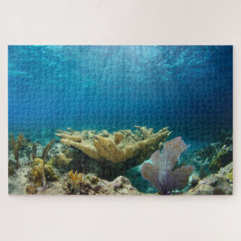 Puzzle Arrecife de coral poco profunda 20"x30"