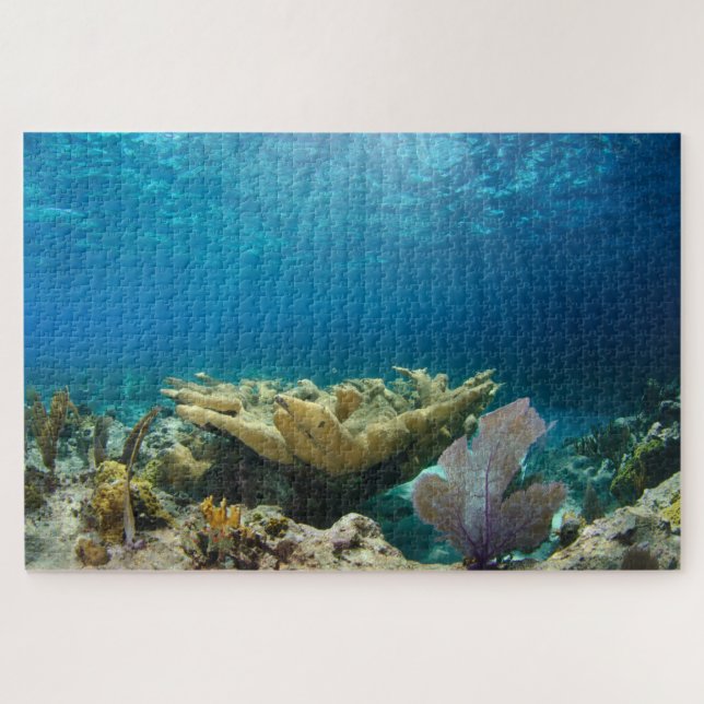 Puzzle Arrecife de coral poco profunda 20"x30" (Horizontal)