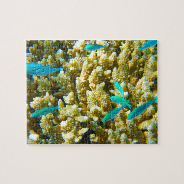 Puzzle Arrecifes de coral de Australia (Horizontal)