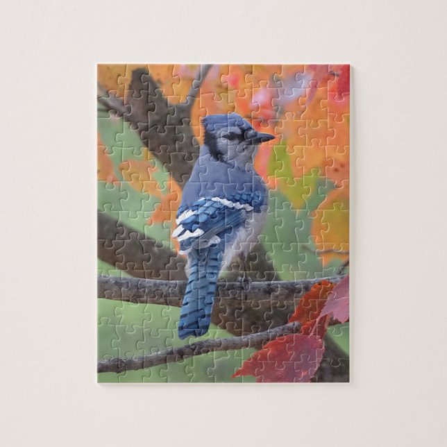 Puzzle Arrendajo azul (Vertical)