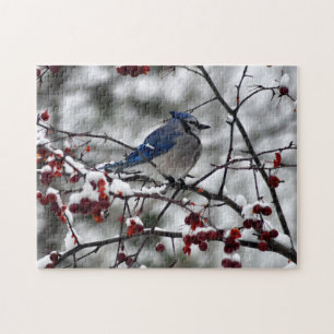 Puzzle Arrendajo Azul de Invierno