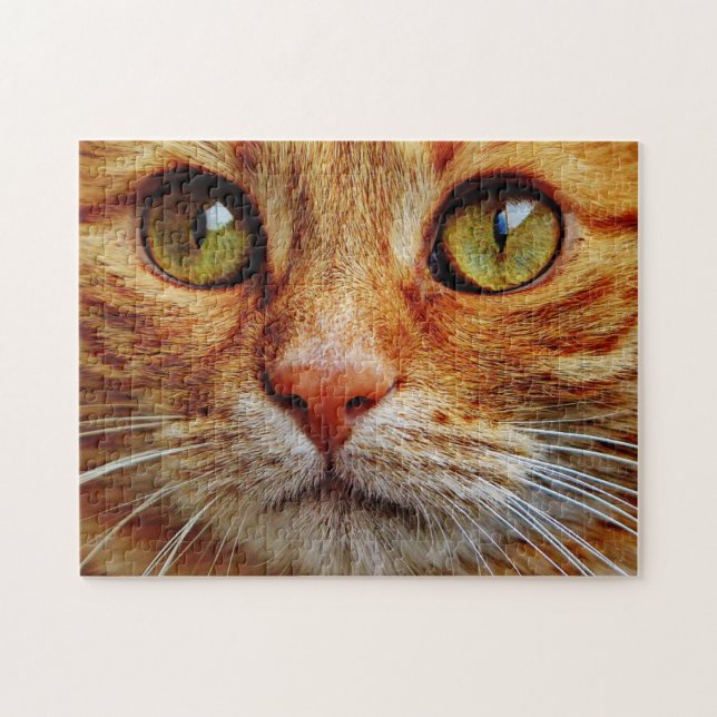 Puzzle Arriba cerca de los ojos de un gato Naranja (Horizontal)