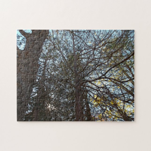 Puzzle Arriba por las ramas (Horizontal)