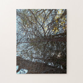 Puzzle Arriba por las ramas