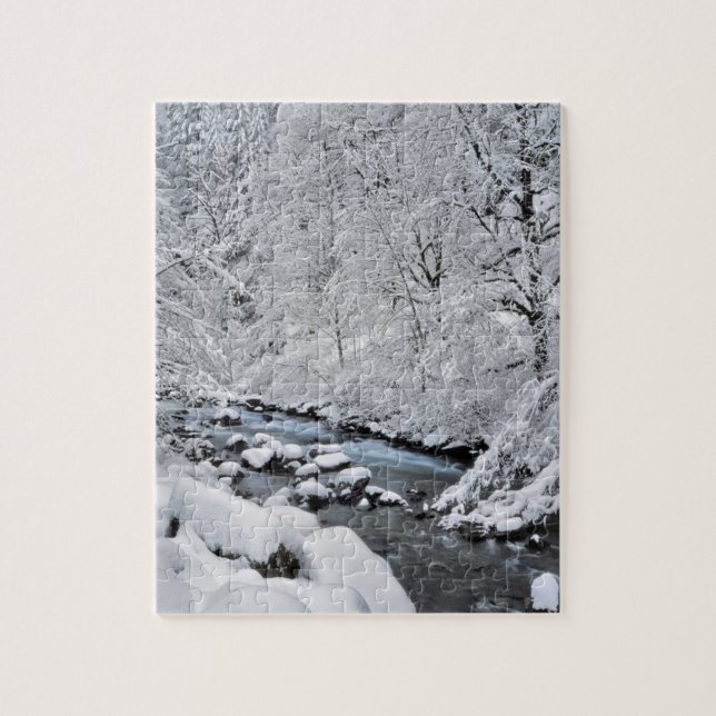 Puzzle Arroyo blanco nevado escénico, Oregon (Vertical)