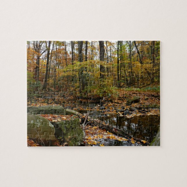 Puzzle Arroyo Fall Creek con reflejo en el parque Laurel  (Horizontal)