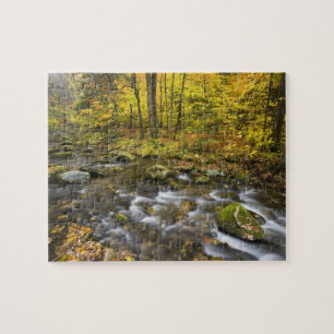 Puzzle Arroyo Sanderson. Bosque estatal Chester-Blanford.